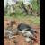 சுற்றுச்சூழல்