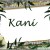 KANI