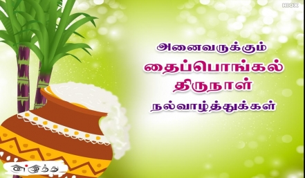 தைப்பொங்கல் திருநாள் தமிழ் வாழ்த்து அட்டை 