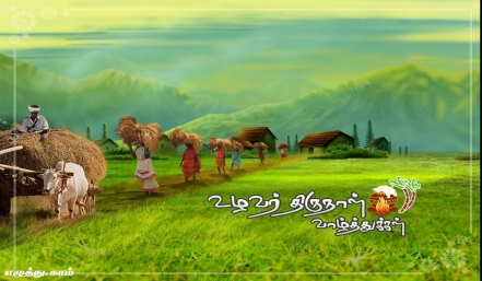 உழவர் திருநாள் தமிழ் வாழ்த்து அட்டை 