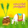 மட்டுப் பொங்கல் மட்டுப் பொங்கல் தமிழ் வாழ்த்து அட்டை